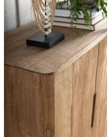 Reclaimed Teak Cupboard Bliss 2 Door