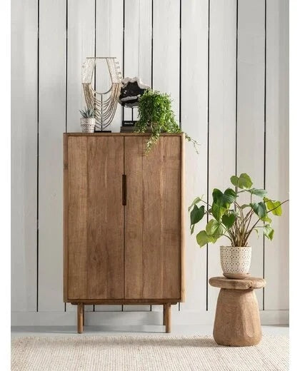 Reclaimed Teak Cupboard Bliss 2 Door