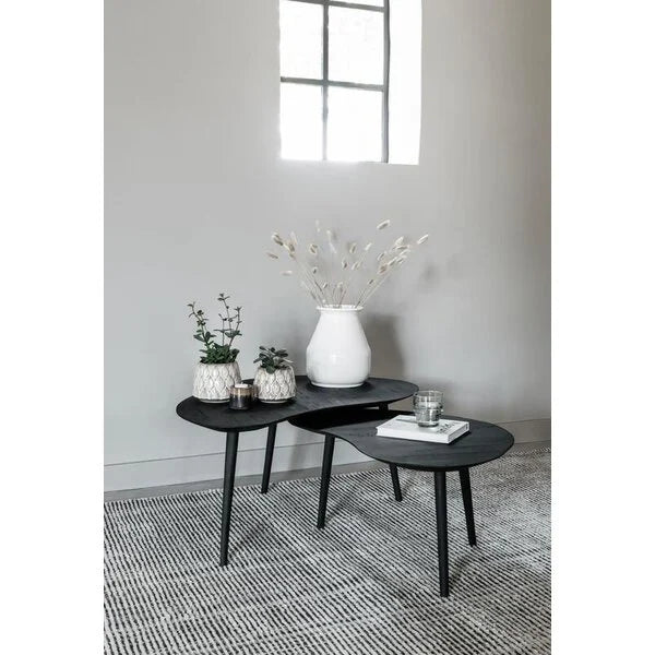 Reclaimed Teak by DTP - Coffee table Organus Black, set of 2